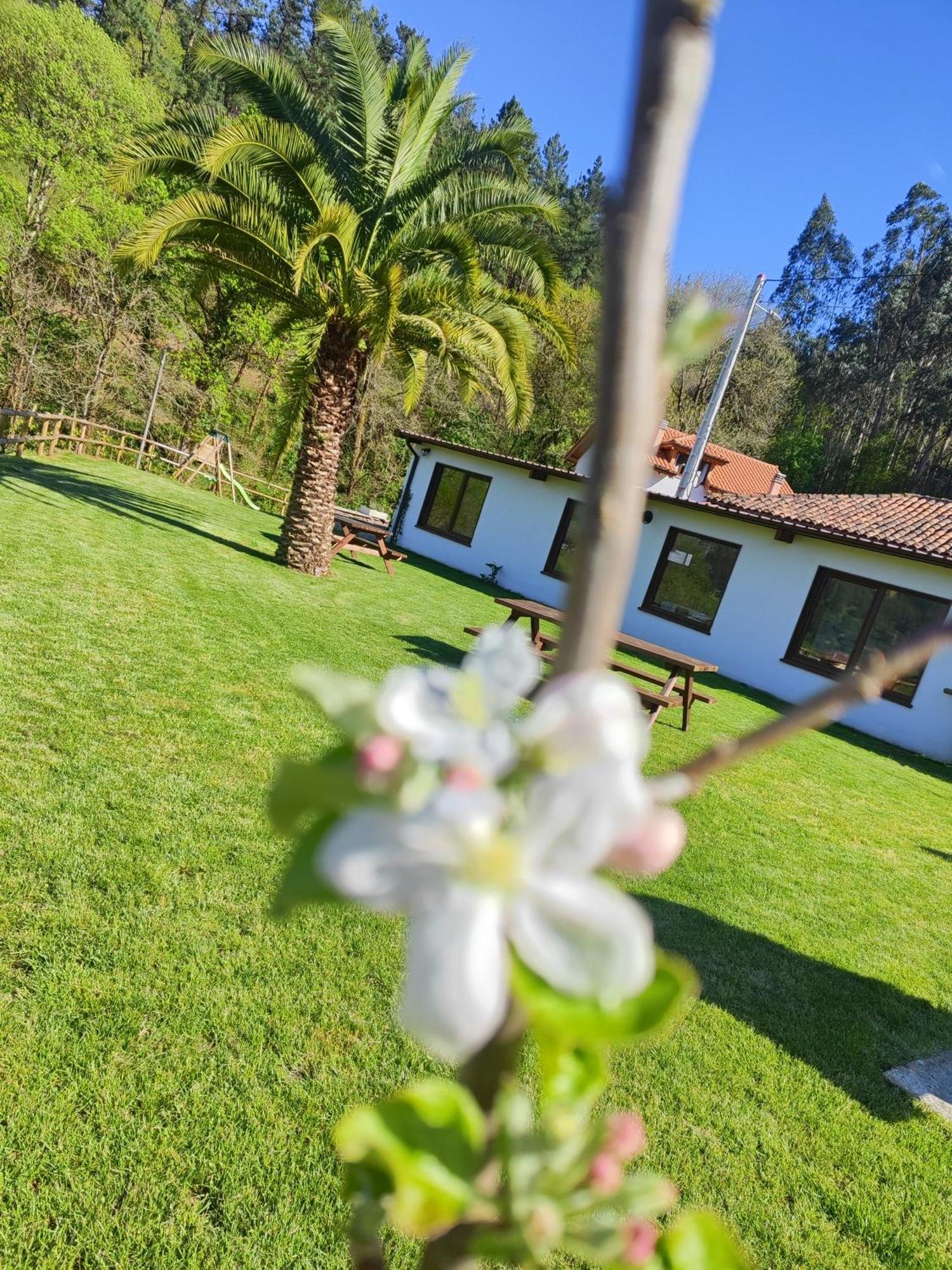 Reguero Gato Turismo Rural Candamin Bagian luar foto